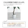【高さ120cm】Nature 光触媒人工観葉植物　ベンジャミン