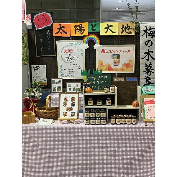 梅のコンフィチュール